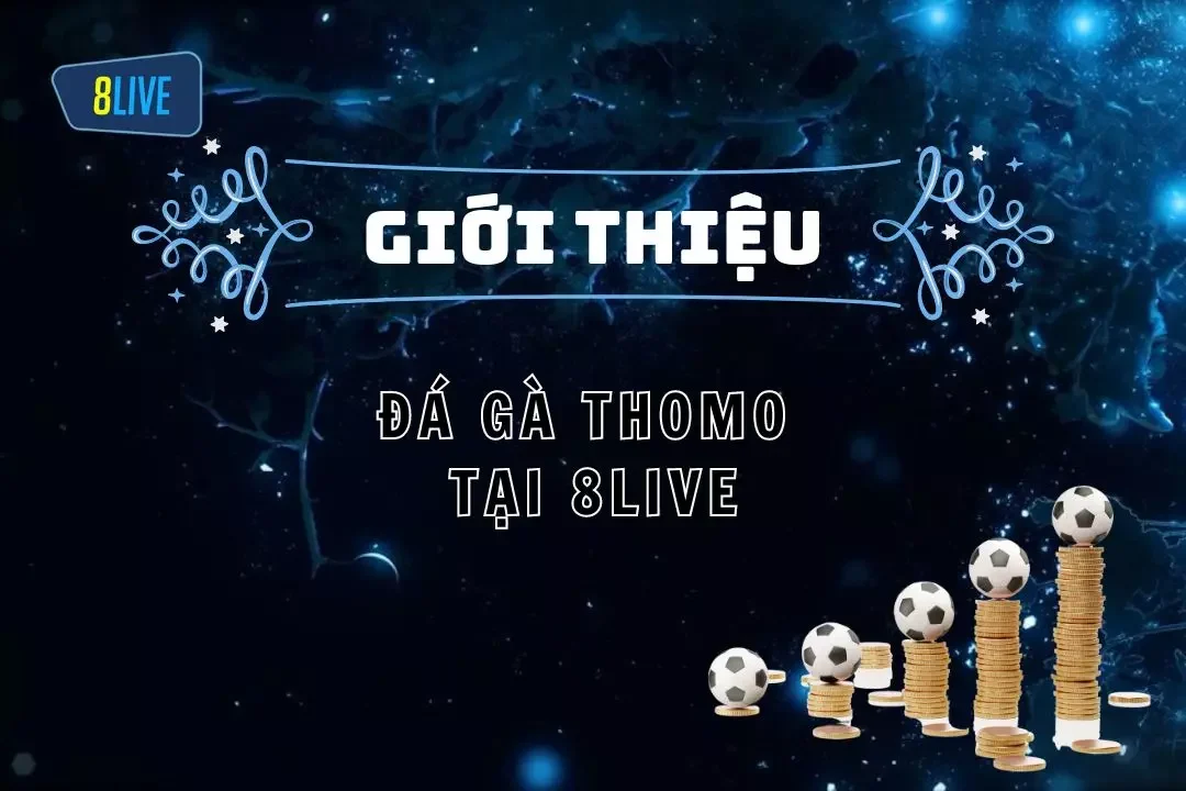 Đá gà Thomo tại 8live